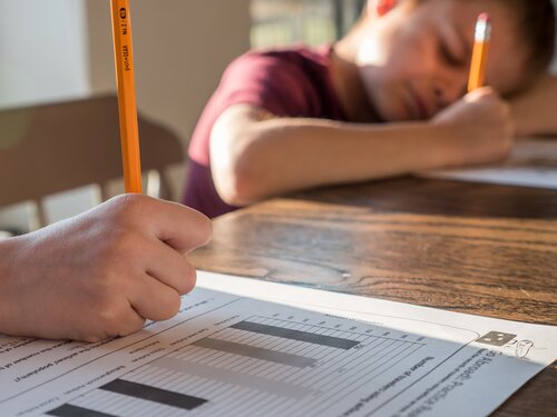 does homework promote learning against