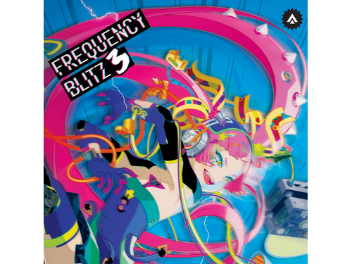 FREQUENCY BLITZ 5 / Attack The Music 激レア - その他