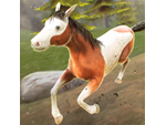 {HACK} My Riding Wild Horse {CHEATS GENERATOR APK MOD}