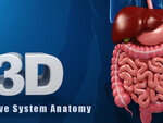 Digestive System - Apps on Google Play