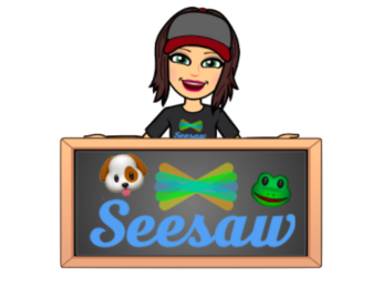 Seesaw Activities and Tips