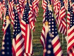 Veterans Awareness Week: Celebrating Our Nation's Heroes - SJCNY On Campus