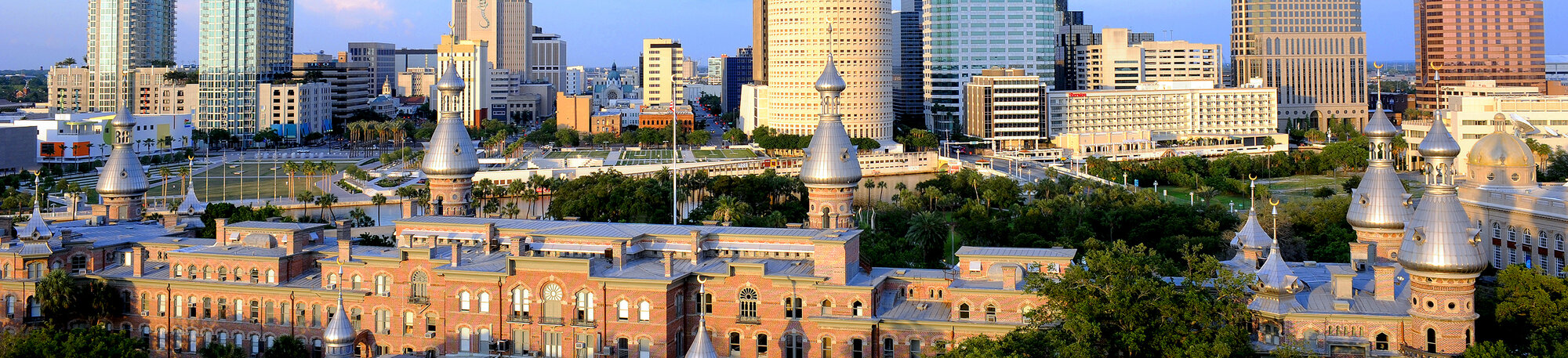 The University of Tampa's background image'