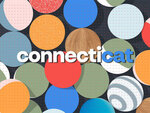 Connecticat - Connecti.cat 20/10/2021