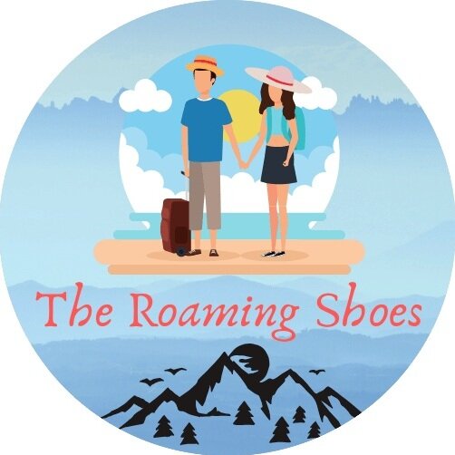 The Roaming Shoes user avatar