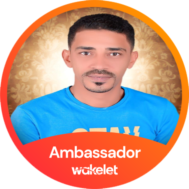 Mr.Wael Rabie user avatar