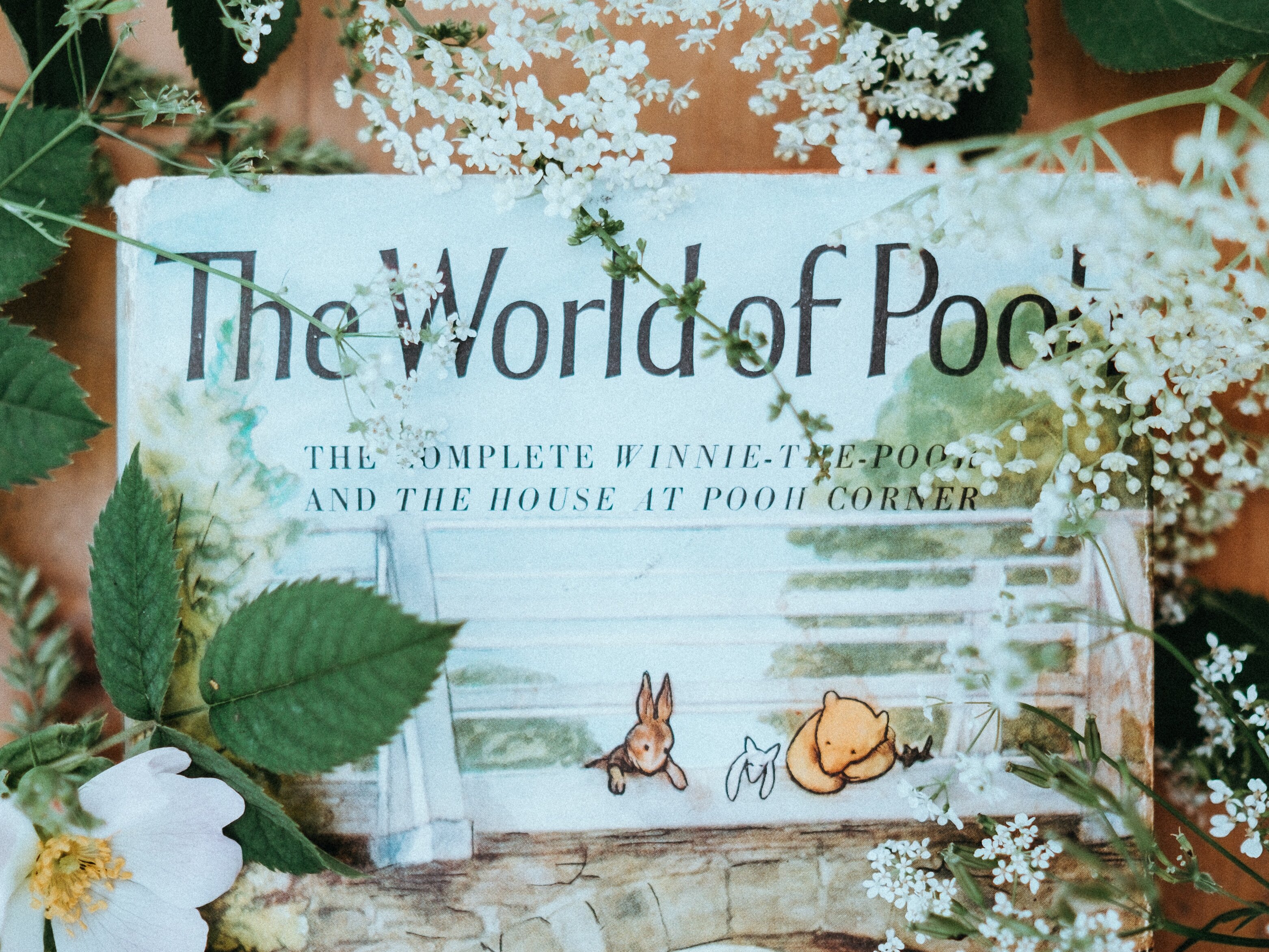 Collection cover image