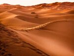 Dune – a prophetic tale about the environmental destruction wrought by the colonisation of Africa
