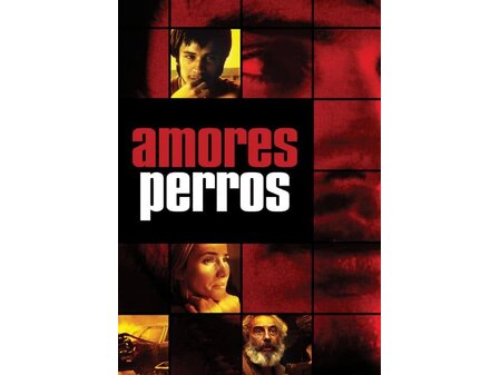 LBST 1102 Final Project - Amores Perros