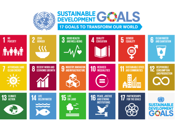 Compilation on SDG Topics