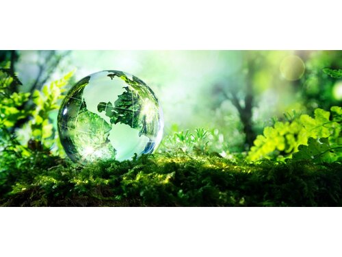 Globalization - Environmental Impacts