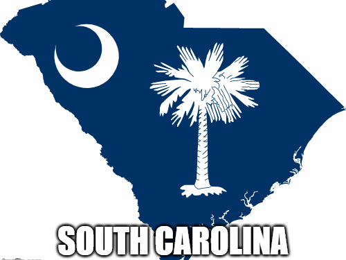 South Carolina STEM Professional Organizations