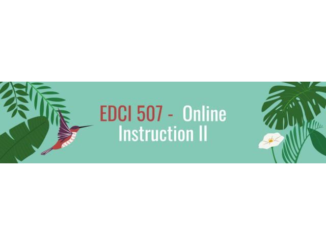 EDCI 507 - Online Instruction II