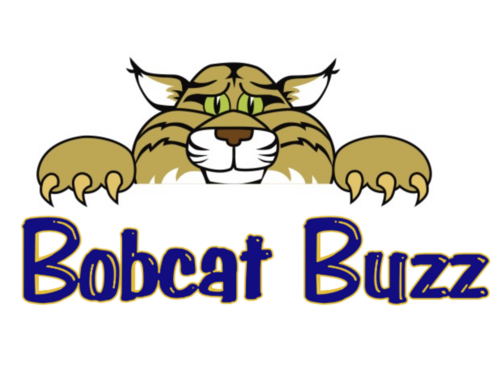 Bobcat Buzz-V1:I6