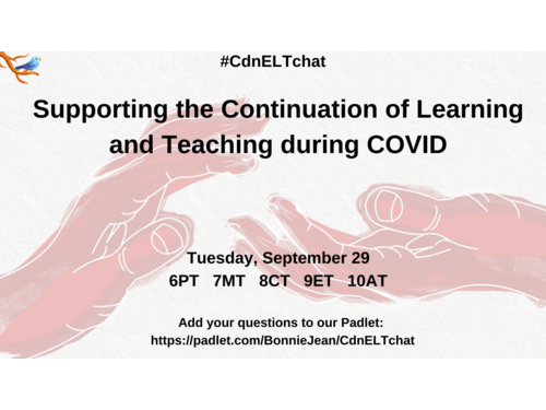 Supporting the Continuation of Learning and Teaching during COVID-19