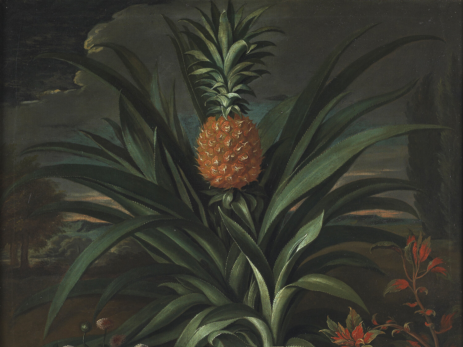 Power, Promise, Politics: The Pineapple from Columbus to Del Monte