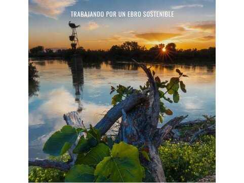 El Mes de la Cuenca del Ebro - Enero 2021