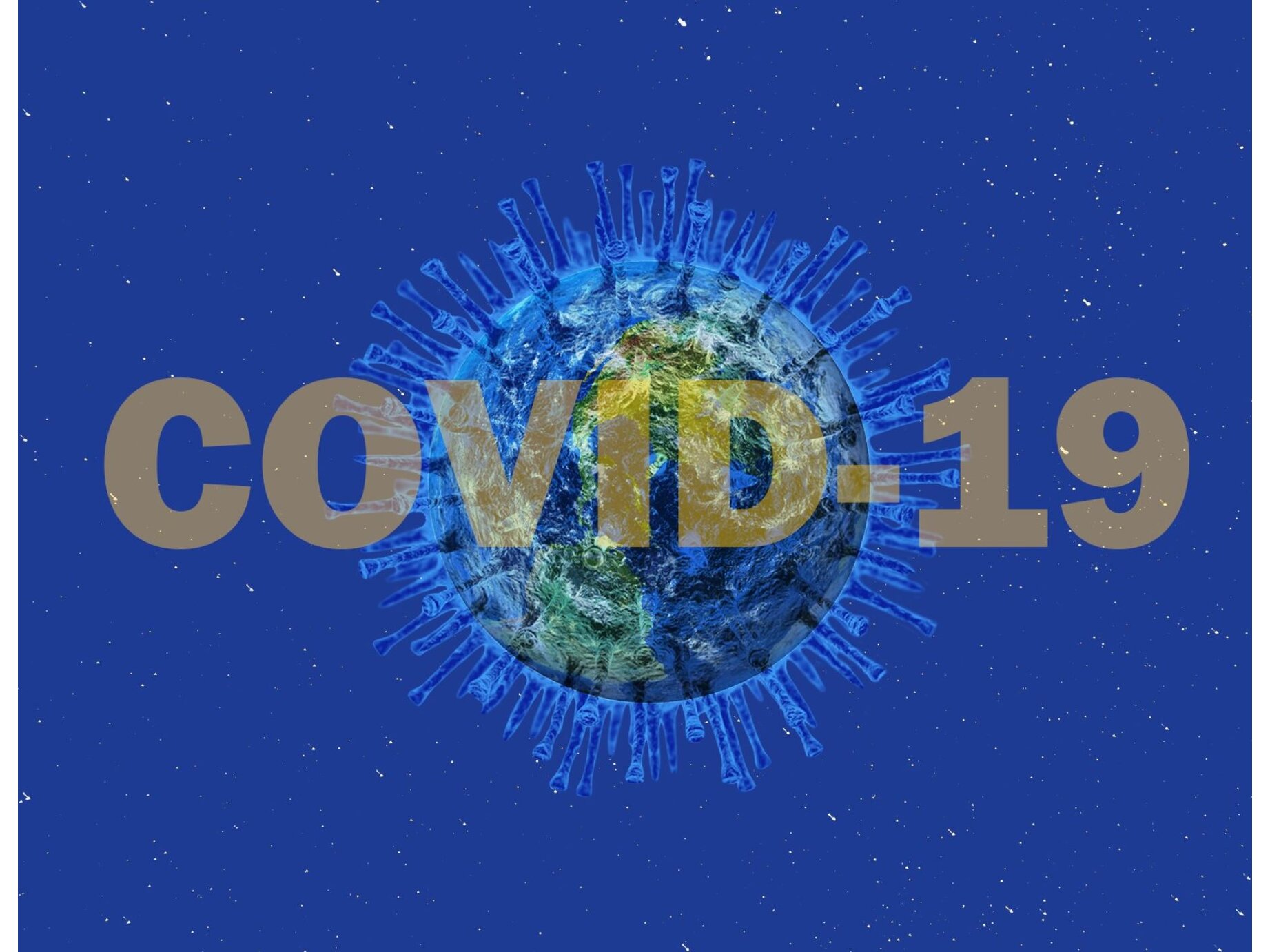Informing Decisions on COVID-19