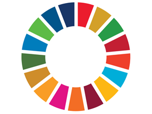 Global Collaboration and Sustainable Development Goals