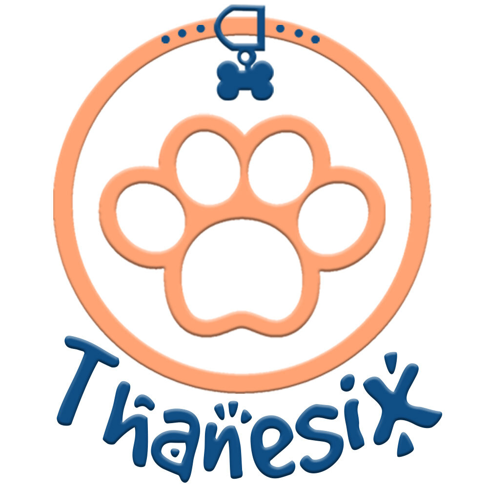Thanesix user avatar