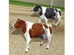 {HACK} Cow Racing Free Game {CHEATS GENERATOR APK MOD}