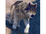 {HACK} Ataque de Lobos 3D Mejores Juegos de Carreras de Animales para Niños Gratis {CHEATS GENERATOR APK MOD}