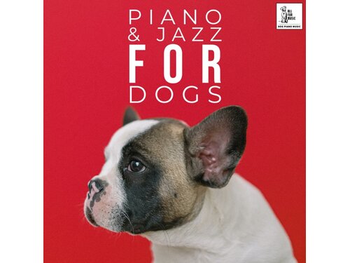 {DOWNLOAD} Calming Music for Dogs, Jingle Cats & Mu - Piano & Jazz For Dogs {ALBUM MP3 ZIP}