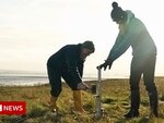 Coastal saltmarsh 'engineered' to fight climate change