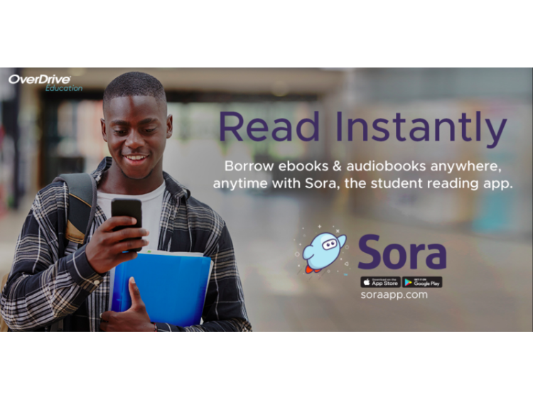 NYC Students, Educators, and Families -- Access Sora with Your DOE Log-in!