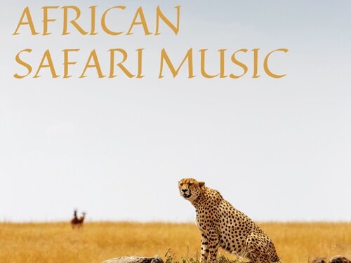 safari music download mp3
